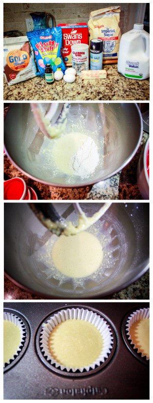 Cotton Candy Cupcakes-2-01