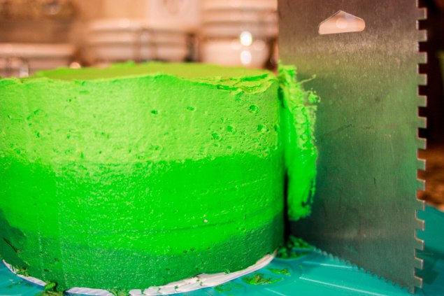 Best Buttercream + Ombre Cake-2897.jpg